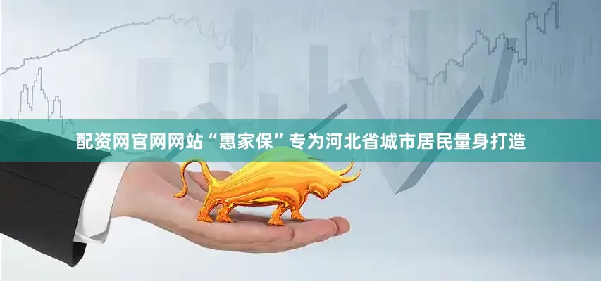 配资网官网网站“惠家保”专为河北省城市居民量身打造